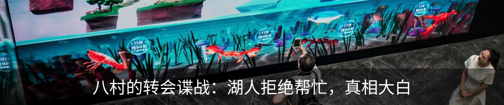 新闻动态