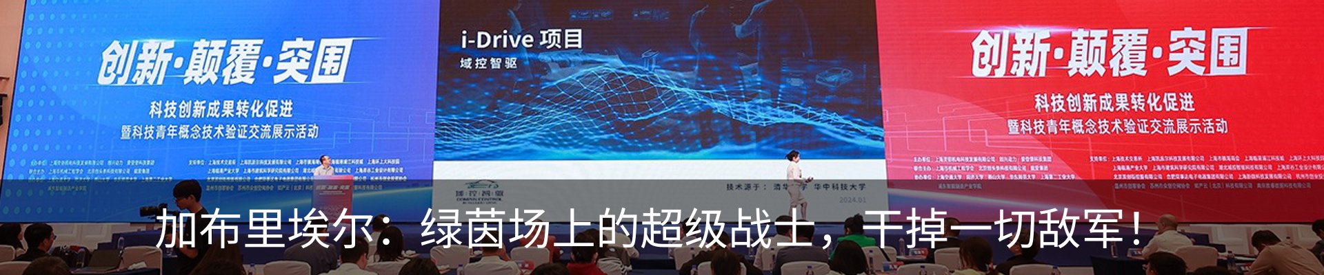 新闻动态