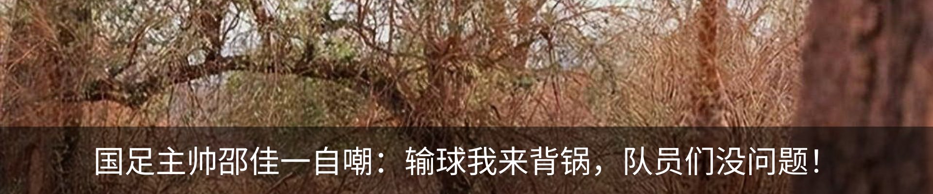 新闻动态