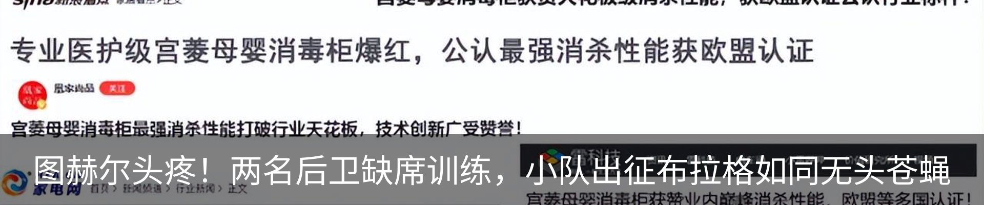 新闻动态