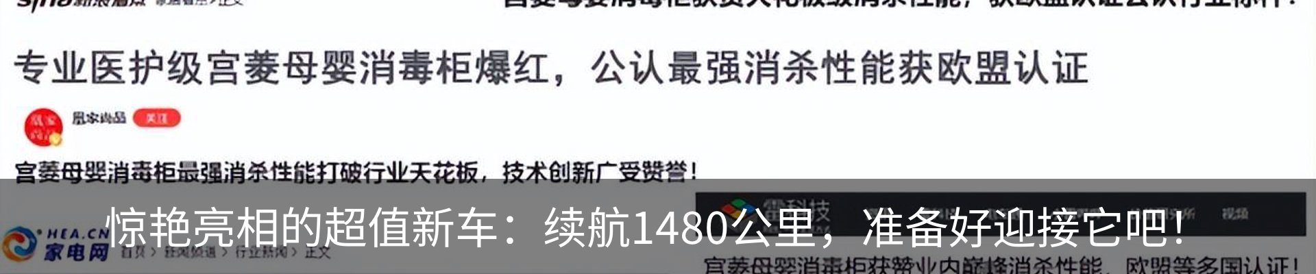 新闻动态