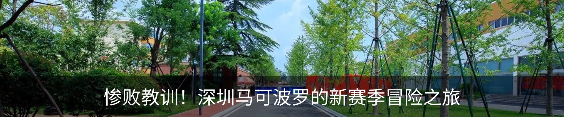 新闻动态