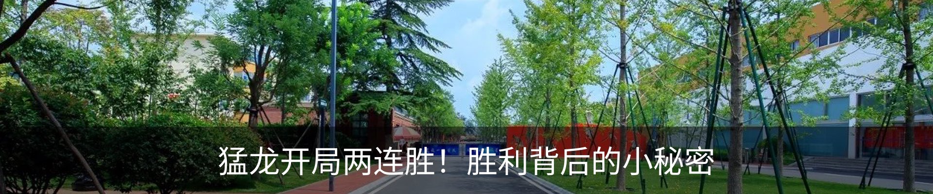 新闻动态