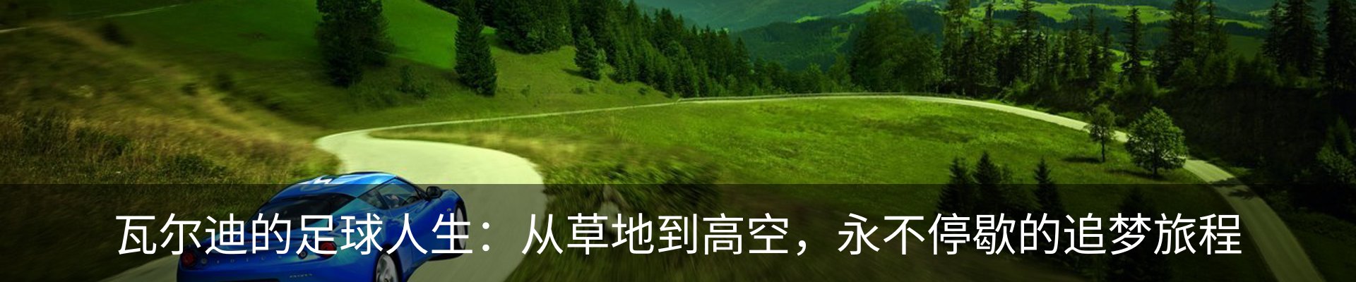 新闻动态