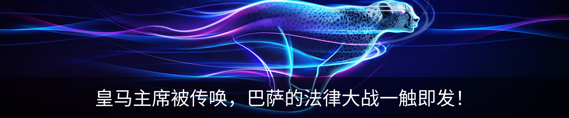 新闻动态