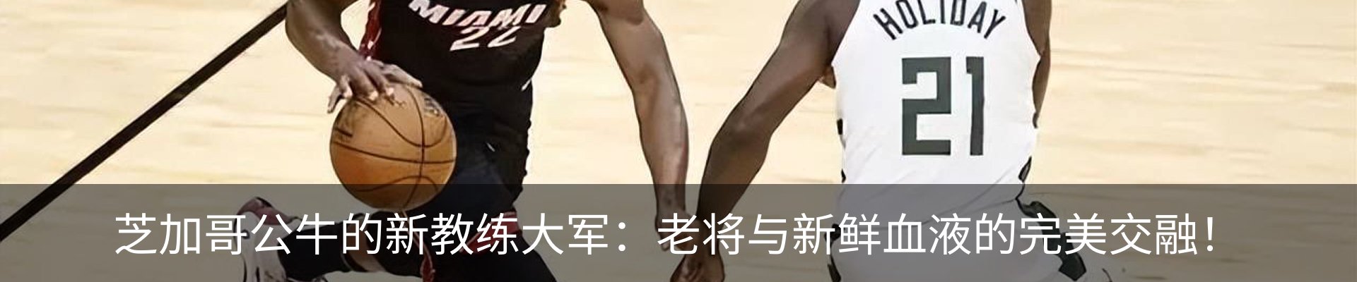 新闻动态