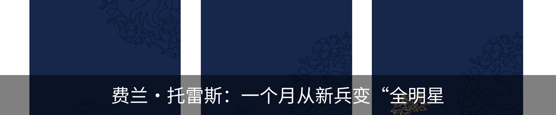新闻动态