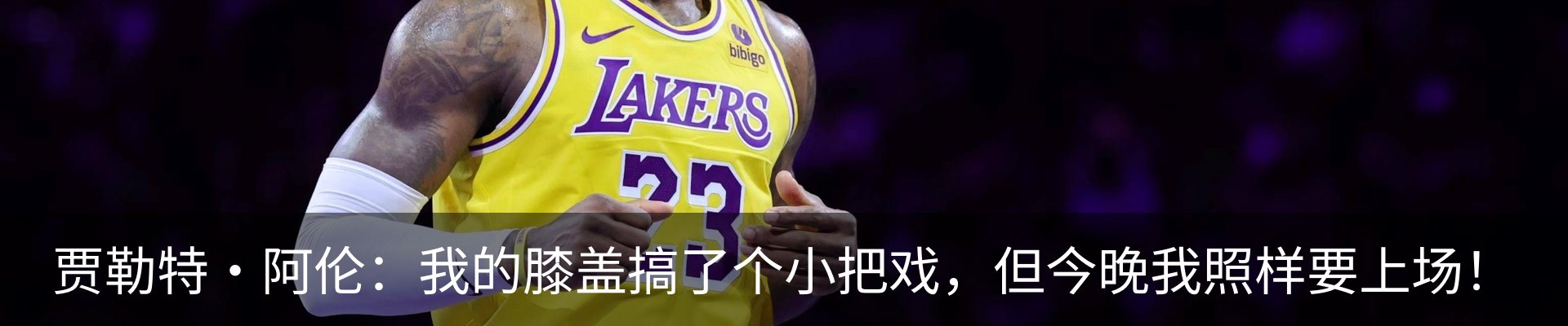 新闻动态
